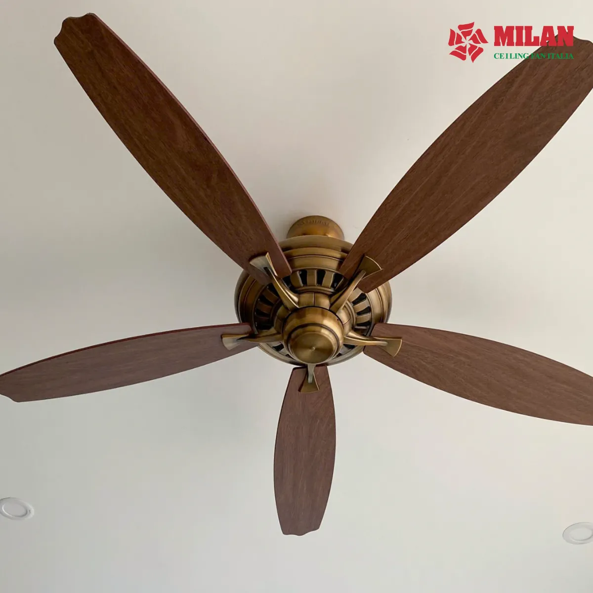 quạt trần đẹp thương hiệu milan